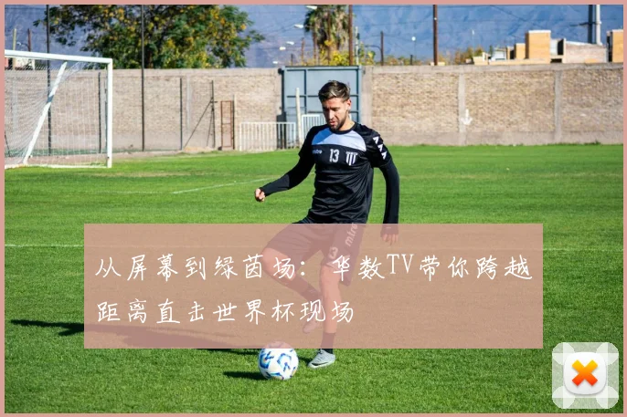 从屏幕到绿茵场:华数TV带你跨越距离直击世界杯现场