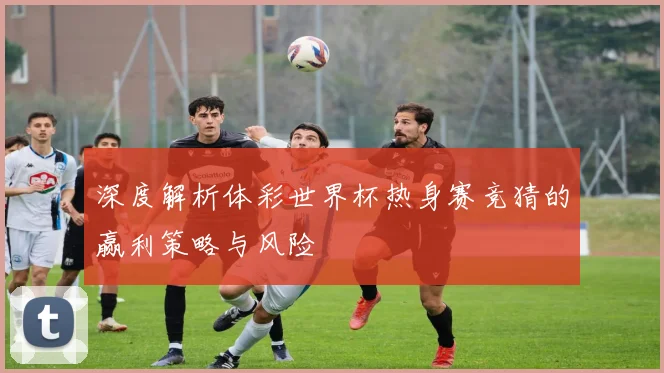 深度解析体彩世界杯热身赛竞猜的赢利策略与风险