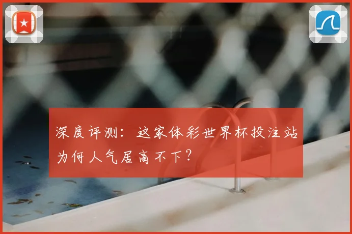 深度评测：这家体彩世界杯投注站为何人气居高不下？