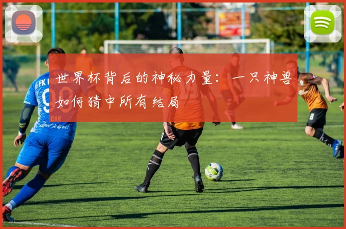 世界杯背后的神秘力量:一只神兽如何猜中所有结局