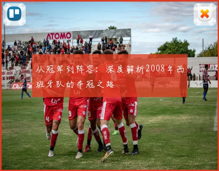 从冠军到阵容：深度解析2008年西班牙队的夺冠之路