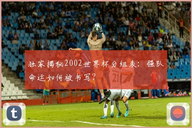 独家揭秘2002世界杯分组表：强队命运如何被书写？