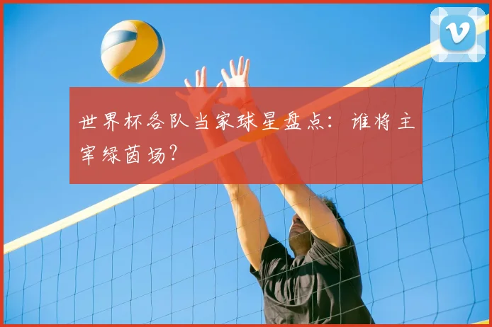 世界杯各队当家球星盘点：谁将主宰绿茵场？