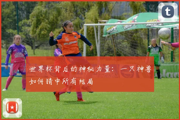 世界杯背后的神秘力量:一只神兽如何猜中所有结局