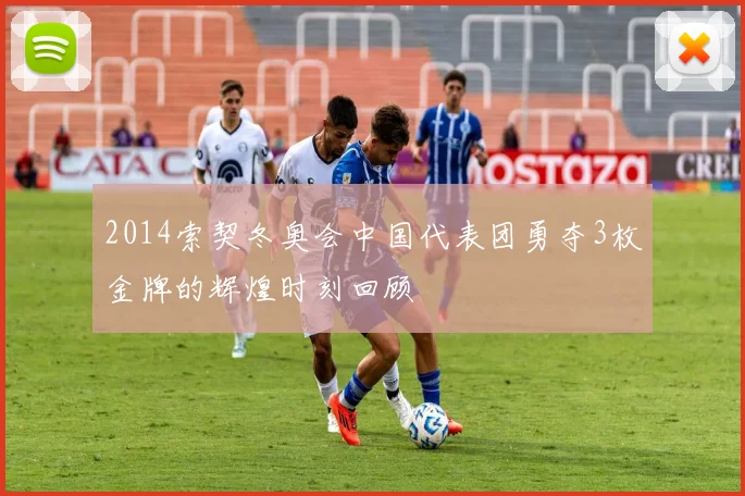 2014索契冬奥会中国代表团勇夺3枚金牌的辉煌时刻回顾