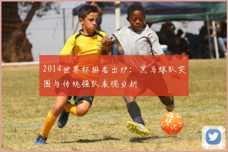 2014世界杯排名出炉:黑马球队突围与传统强队表现分析