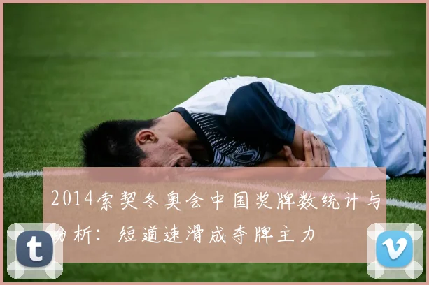 2014索契冬奥会中国奖牌数统计与分析：短道速滑成夺牌主力